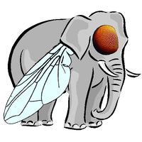 De la mosca del elefante