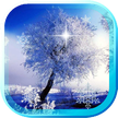 Árboles de invierno HD Live Wallpaper