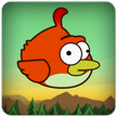 Aves Torpes-Clumsy Bird