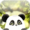 Fondos de pantalla animados de Panda gratis / Panda Chub LWP