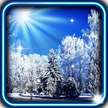 Invierno Sol HD Live Wallpaper