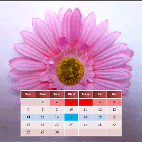 Mi calendario menstrual para el año