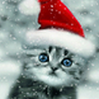 Christmas Cat