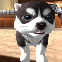 Perro cachorro Simulador 3D