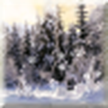 Bosque de invierno copos de nieve / Winter Forest LWP
