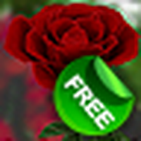 Fondo de pantalla en vivo Rose 3D / 3D Rose Live Wallpaper Free