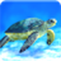Tortuga Marina Live Wallpaper / Sea Turtle Live Wallpaper