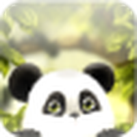 Fondos de pantalla animados de Panda gratis / Panda Chub LWP