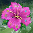 Reloj de Flores en vivo / Flower Clock Live Wallpaper
