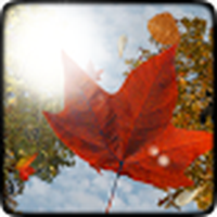 Caída de hojas-versión gratuita / Falling Leaves Free Wallpaper
